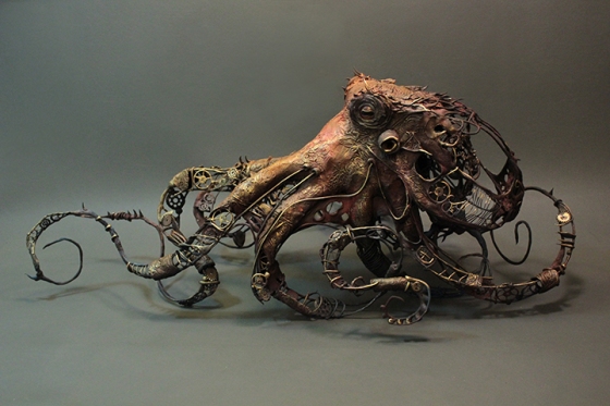Ellen Jewett, Untitled - Pacific Giant Octopus, 2013.
